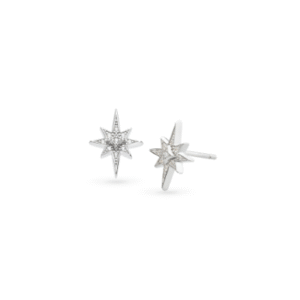 North star cz stud earrings