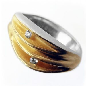 Alternative view of Oyster duo ring