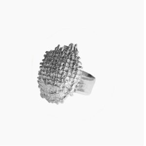 Fragments ring